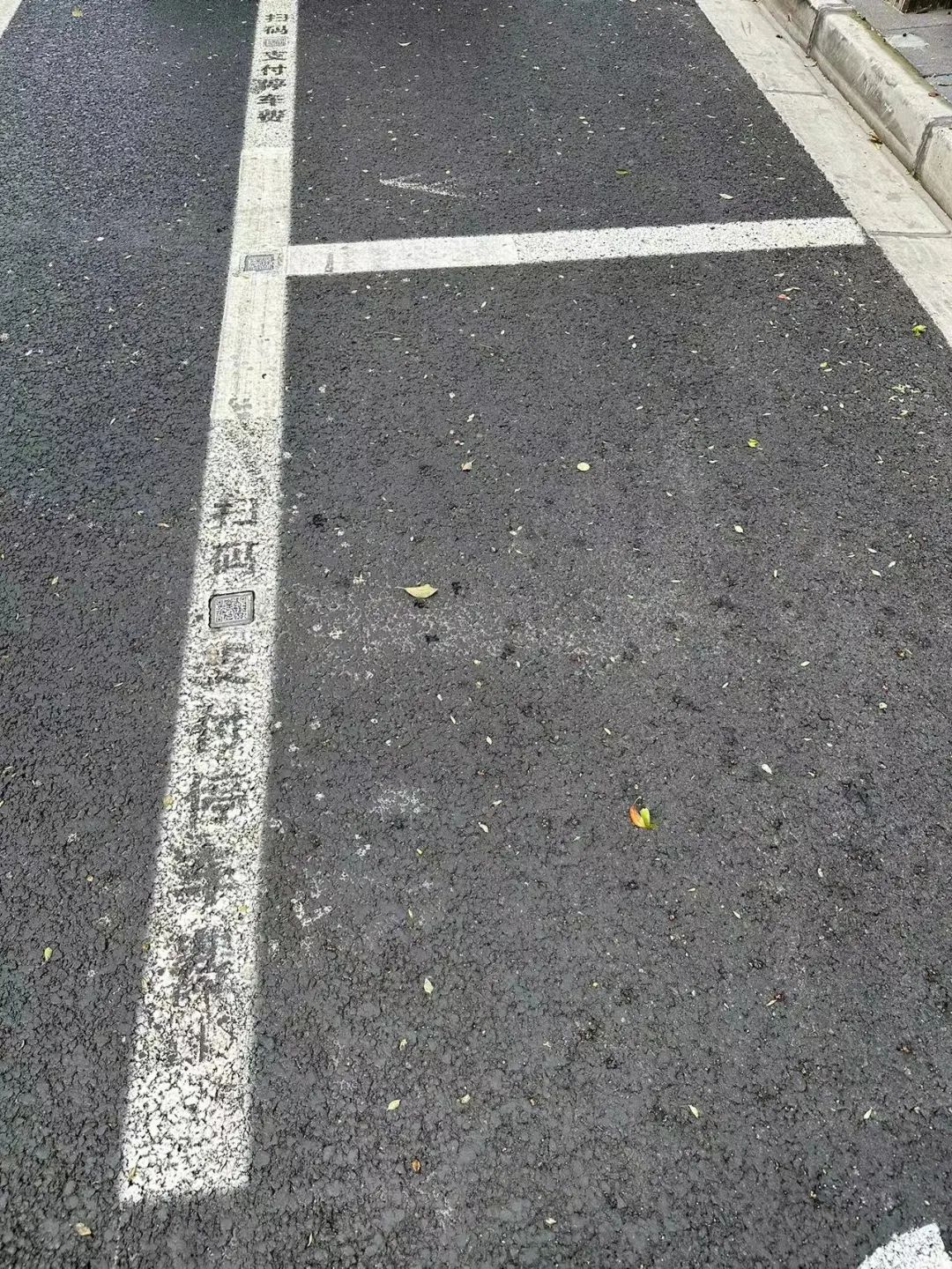 DƬ